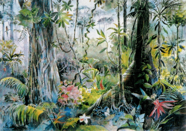 Watercolor Jungle at GetDrawings | Free download