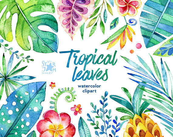 570x452 Tropical Leaves. 44 Floral Elements, Watercolor Clip Art, Jungle