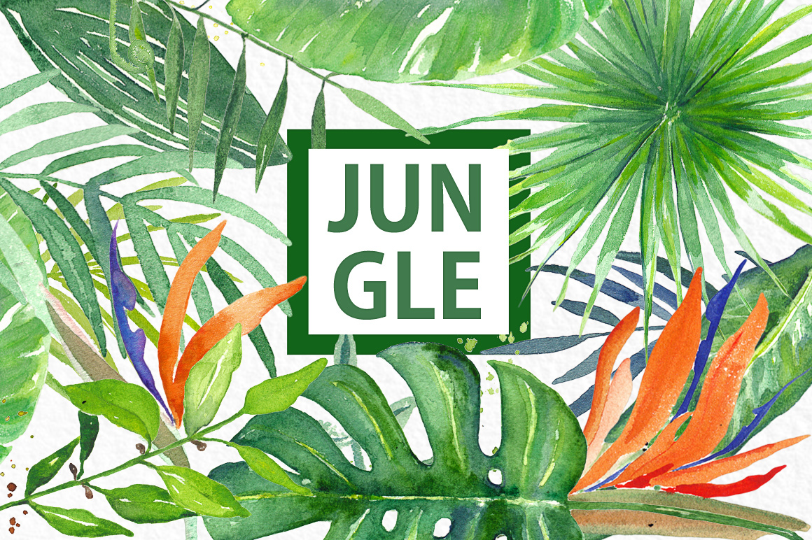 1160x772 Tropical Leaves. Jungle. Watercolor Clipart. By Labfcreations