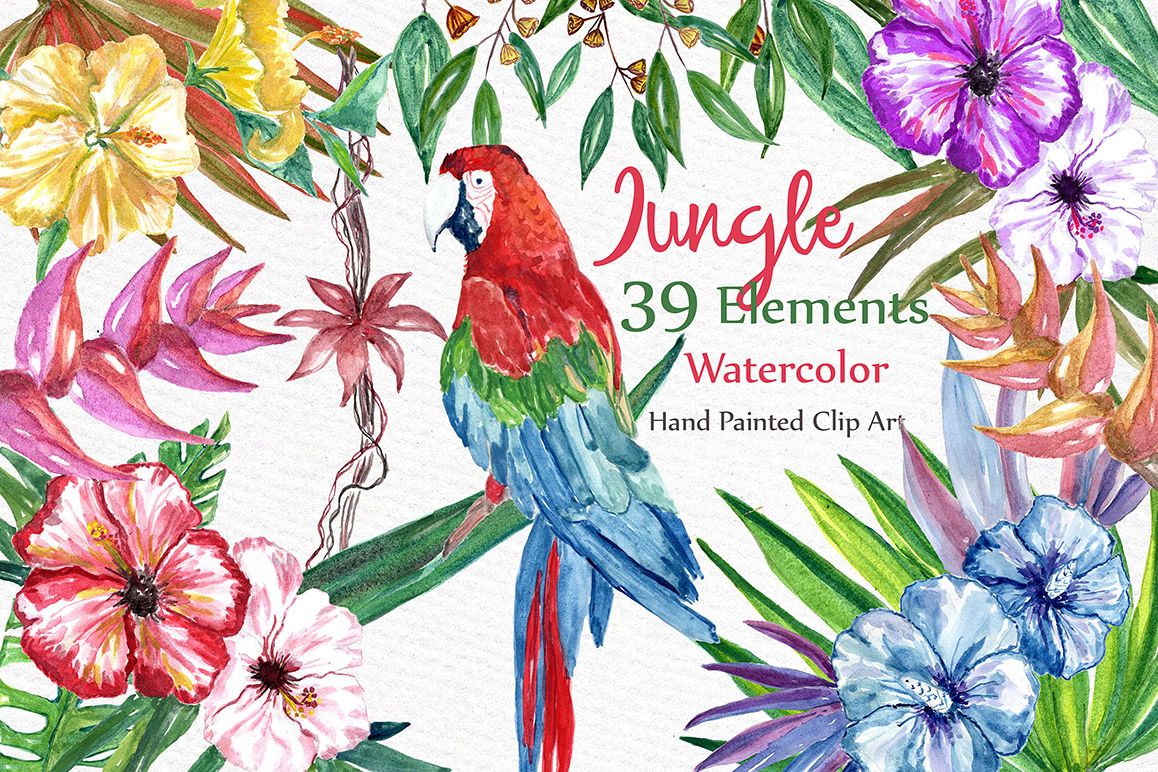 1158x772 Watercolor Jungle Clipart