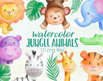 340x270 Watercolor Jungle Etsy