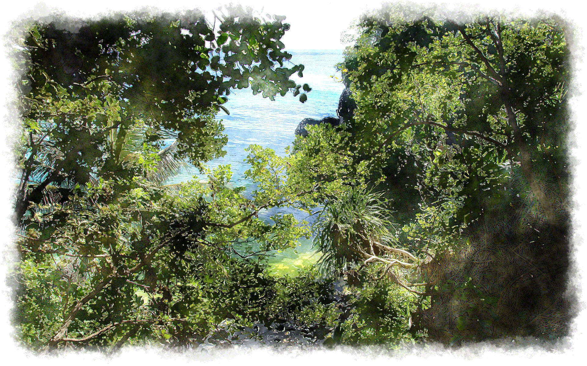 1920x1199 Watercolor Tropical Jungle