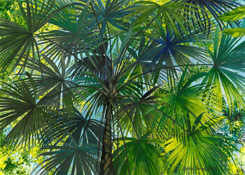 800x572 Jungle Palm Painting Print Kate York
