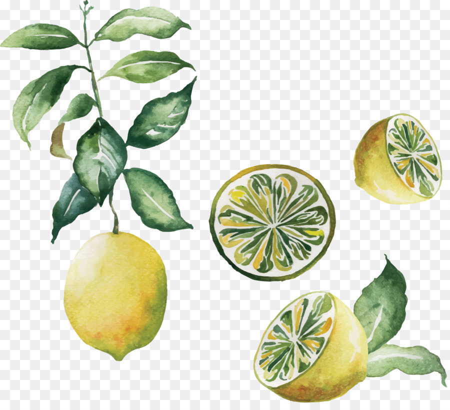 900x820 Poster Watercolor Painting Kitchen