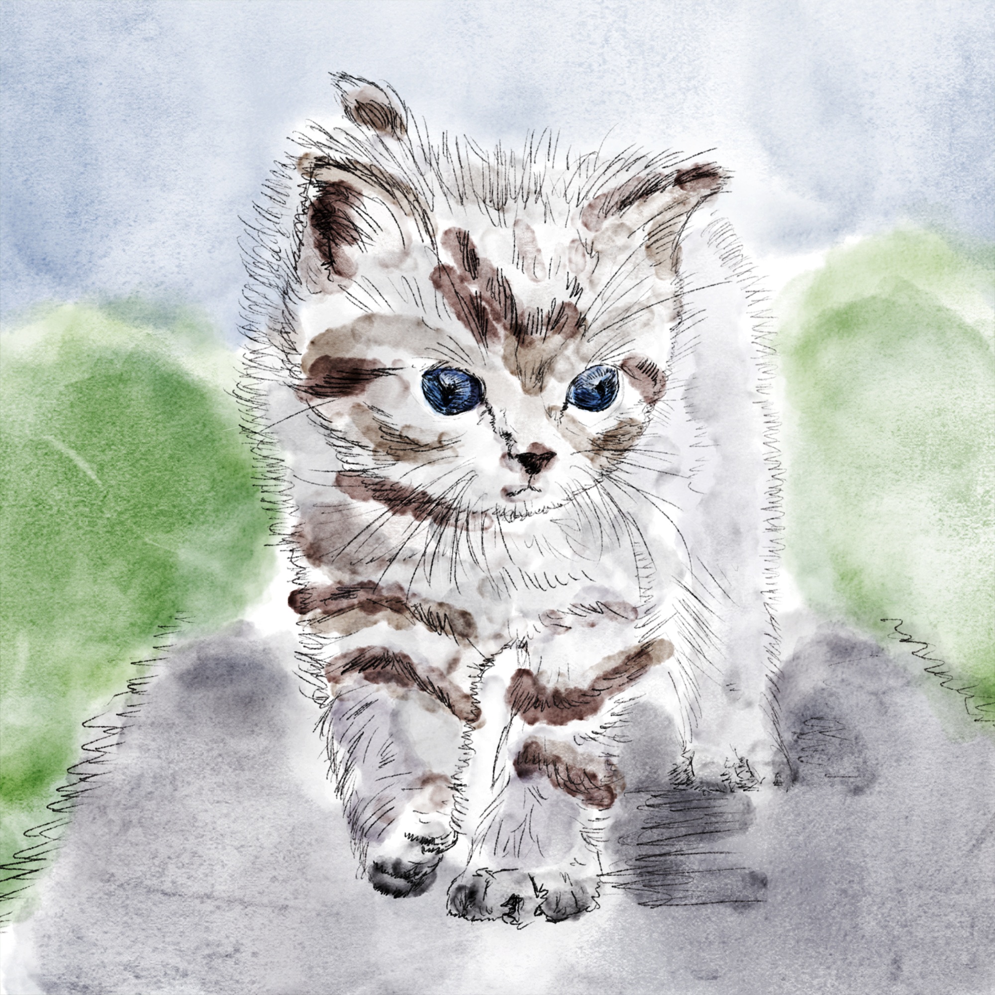2000x2000 Free Images Kitten, Watercolor, Whiskers, Grey, Sketch, Drawing