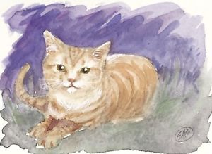 300x219 Aceo Kitten Watercolor Painting Original Orange Tabby Cat Fine Art