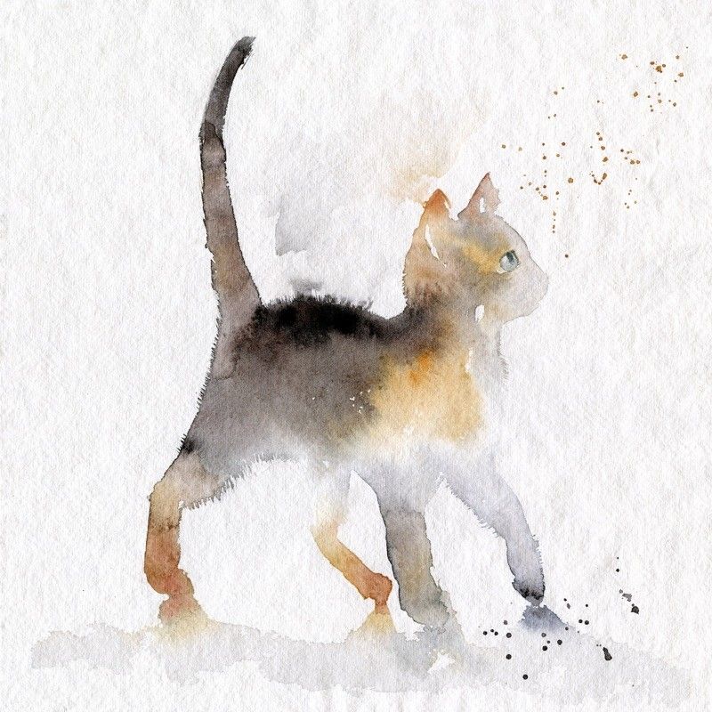 800x800 Alley Kitty Cat Print Grey Kitten, Watercolor And Cat