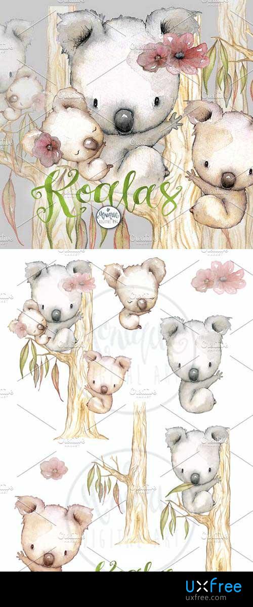 500x1199 Koala Clipart Watercolor 1636848