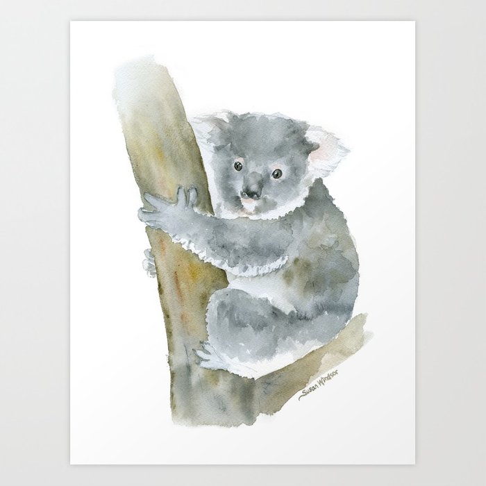 700x700 Koala Watercolor Painting Art Print By Susanwindsor Society6
