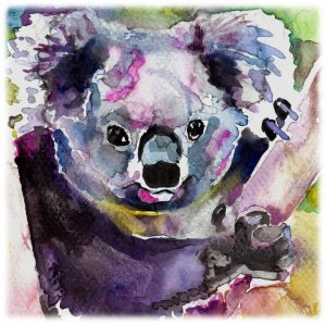 300x298 Koala Watercolor Painting Print