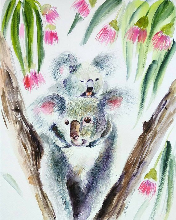 570x713 Koala Mom And Child In Eucalyptus Original Watercolor Painting