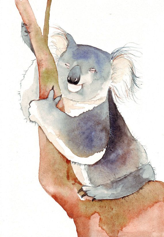 570x824 Watercolour Koala Watercolors Watercolor, Animal