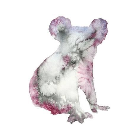 473x473 Watercolor Koala Bear Animal Illustration Hand Drawn Wildlife
