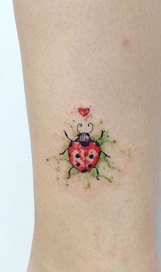 236x397 Pin By Foster Ginger On Nature Ladybugs Lady Birds