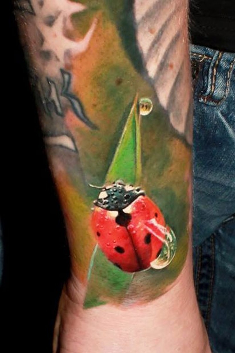 800x1204 Watercolor Colorful Ladybug Tattoo Tattoos Book