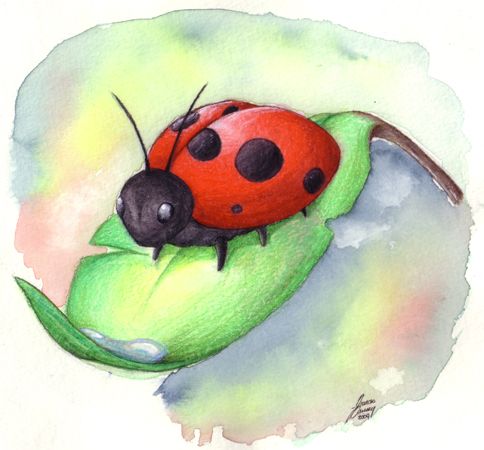 484x450 Watercolor Ladybugs Ladybug Dew By Yote Tattoos