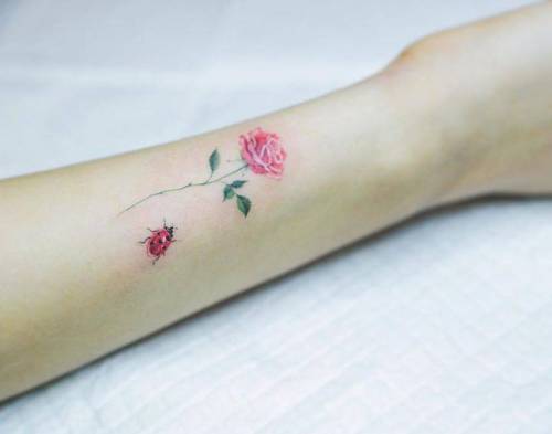 500x393 Ladybug Tattoos Tumblr