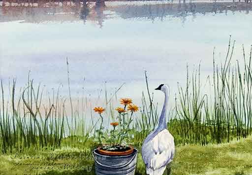 512x355 Marshas Swan Watercolor Painting