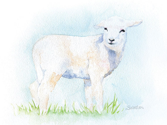 570x427 Lamb Watercolor Painting
