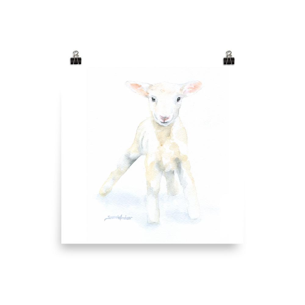 1000x1000 Lamb Watercolor Susan Windsor