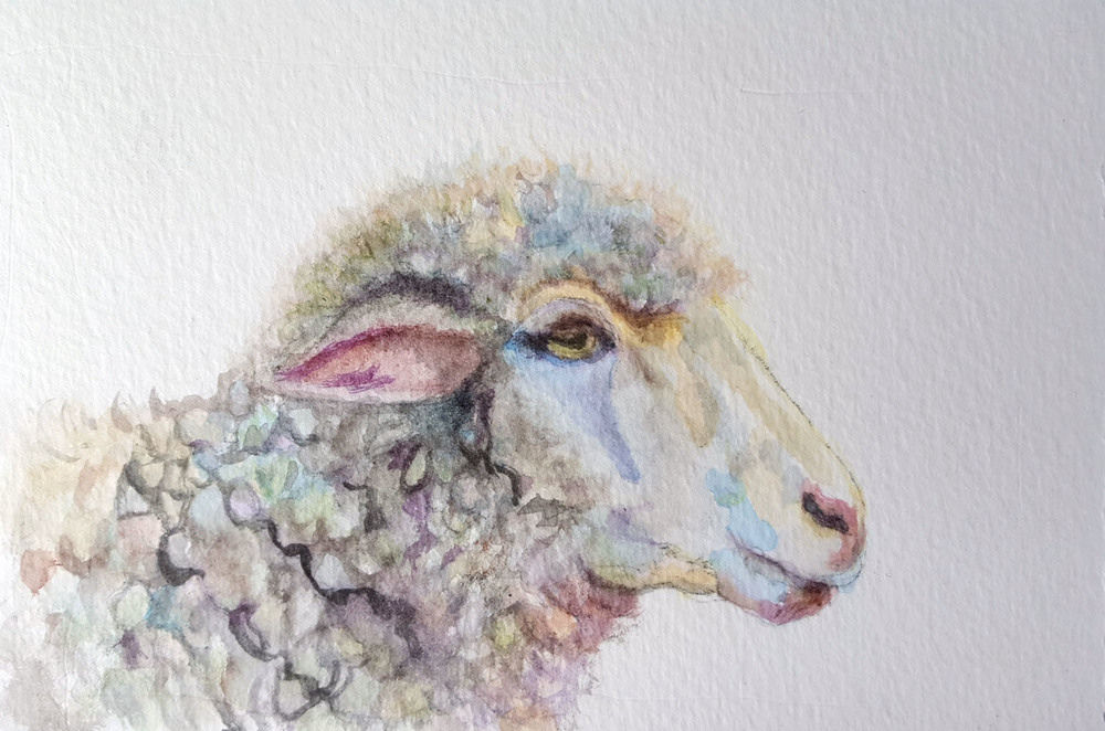 1000x662 Prints Available (Original Sold) Lamb