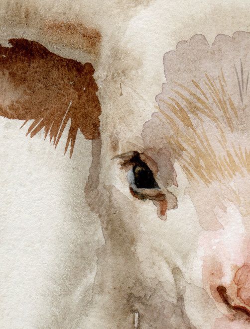 502x662 Sheep Lamb Watercolor Paintings