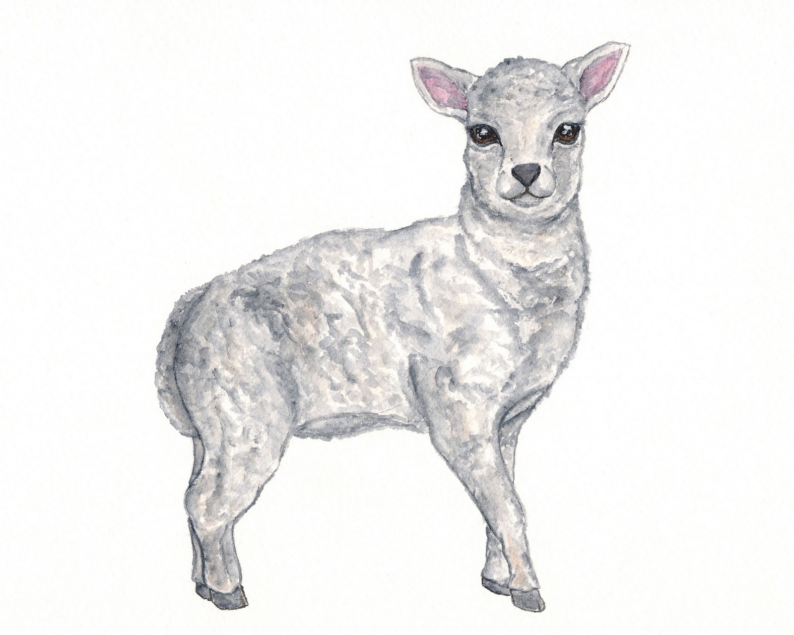 1600x1280 Thimble Sparrow Watercolor Lamb Painting