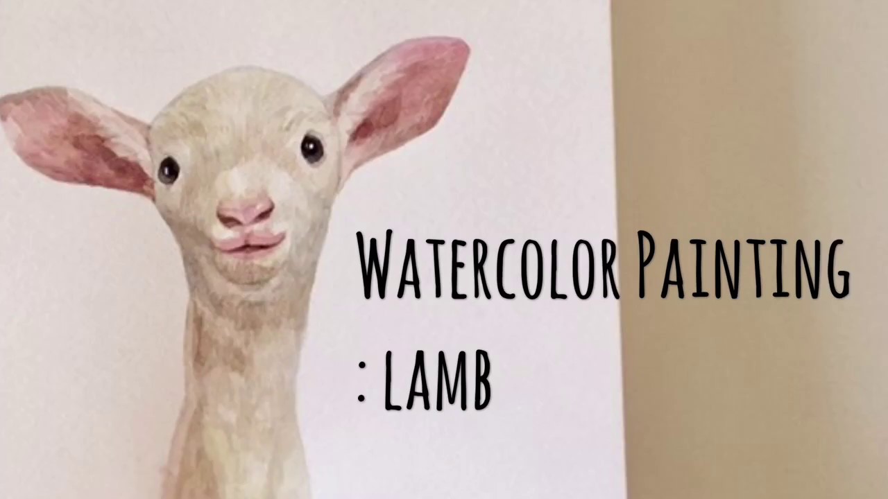 1280x720 Watercolor Speed Painting Lamb