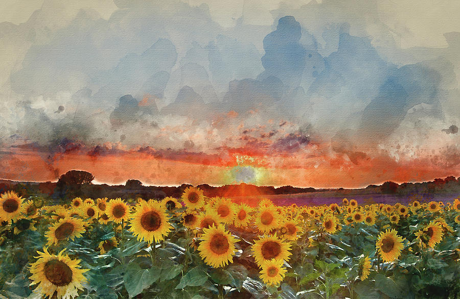 900x585 Watercolor Painting Of Sunflower Summer Sunset Landscape With Bl