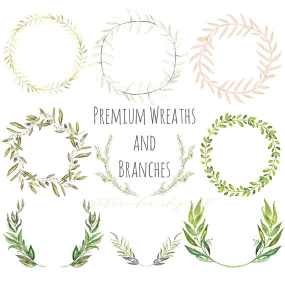570x570 Laurel Wreath Premium Wreaths And Branches Watercolor Clip Art