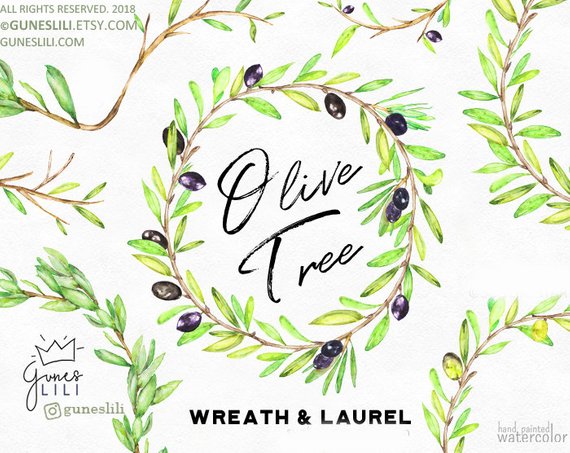 570x453 Leaves Wreath Clipart Watercolor Laurel Clipart Olive Etsy