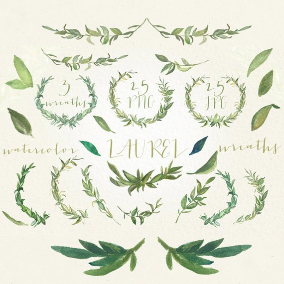 570x570 Laurel Wreaths And Foliages. Watercolor Clip Art Hand Drawn. Etsy