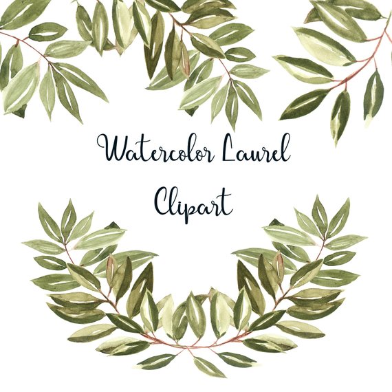 570x570 Watercolor Laurel Wreath Clipart Laurel Leaves Laurel Etsy