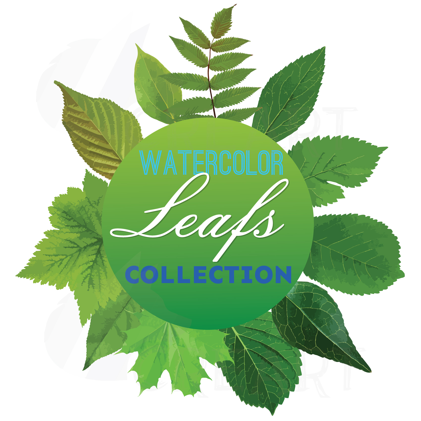 1667x1667 Watercolor Leaf Clip Art Pack. Eps, Png, Jpg, Pdf, Svg, Vector