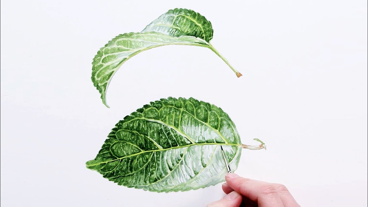 1280x720 How To Paint Realistic Luscious Leaves In Watercolour With Anna