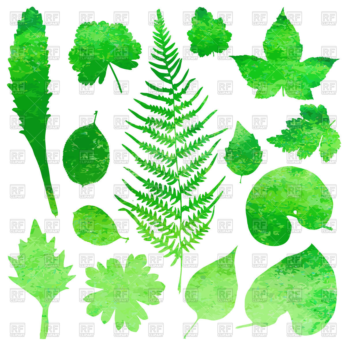 1200x1200 Green Garden Watercolor Leaves Vector Image Vector Artwork Of