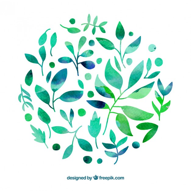 626x626 Hand Painted Leaves In Watercolor Style Vector Free Download