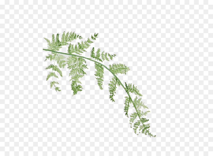 900x660 Leaf Watercolor Painting