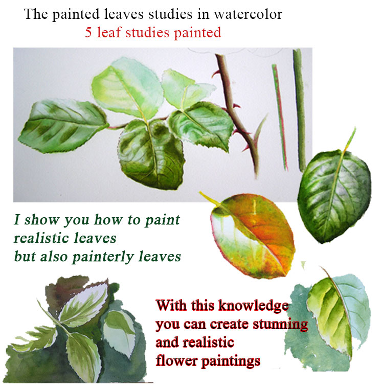 747x767 Painting Leaves In Watercolour