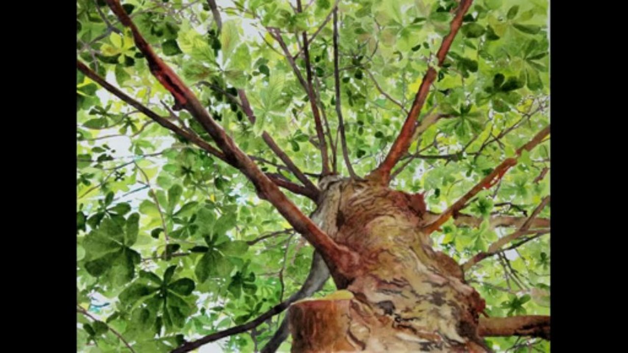 1279x720 Painting Trees And Leaves With Watercolor Leaves Lace