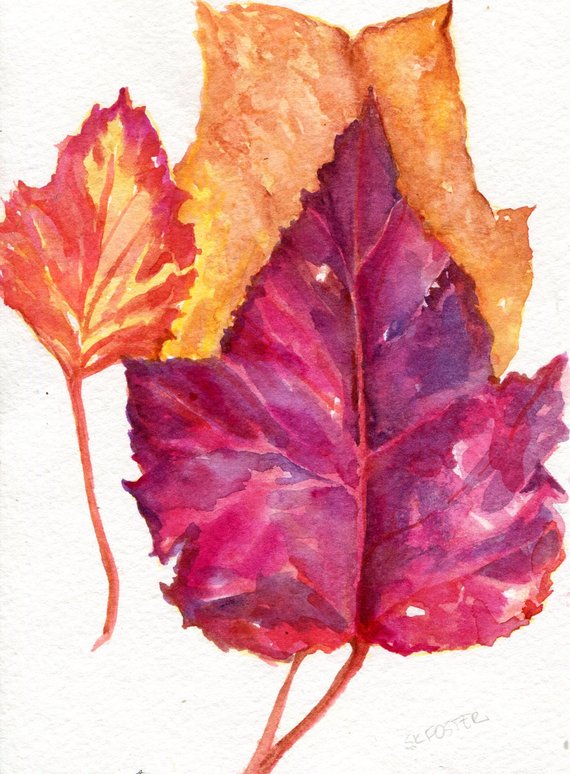 570x774 Autumn Leaves Watercolor Painting Fall Painting Leaf Etsy