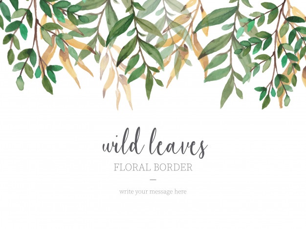 626x469 Watercolor Leaves Vectors, Photos And Psd Files Free Download