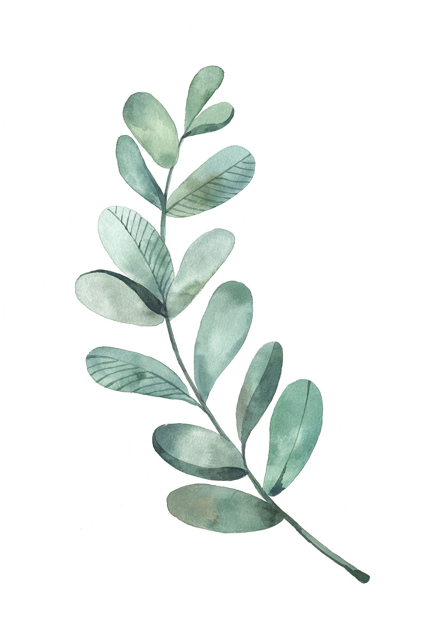 1490x2151 Watercolor Leaf Ava In 2018 Watercolor Leaves