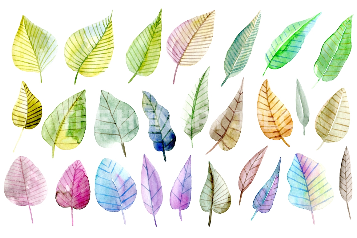 1160x772 Watercolor Leaves Png By Watercolorflowers