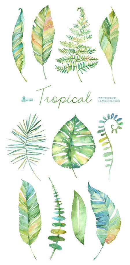 450x919 Tropical Watercolor Leaves. Handpainted Clipart, Foliage, Grass