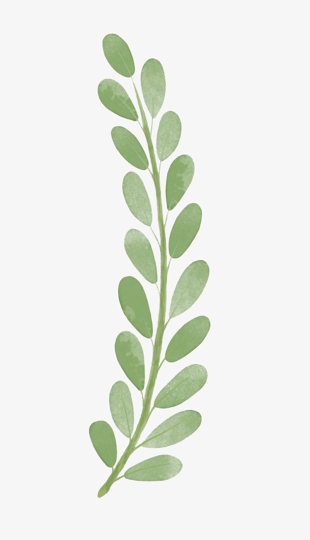 630x1096 Watercolor Leaves, Watercolor Clipart, Decoration, Pattern Png