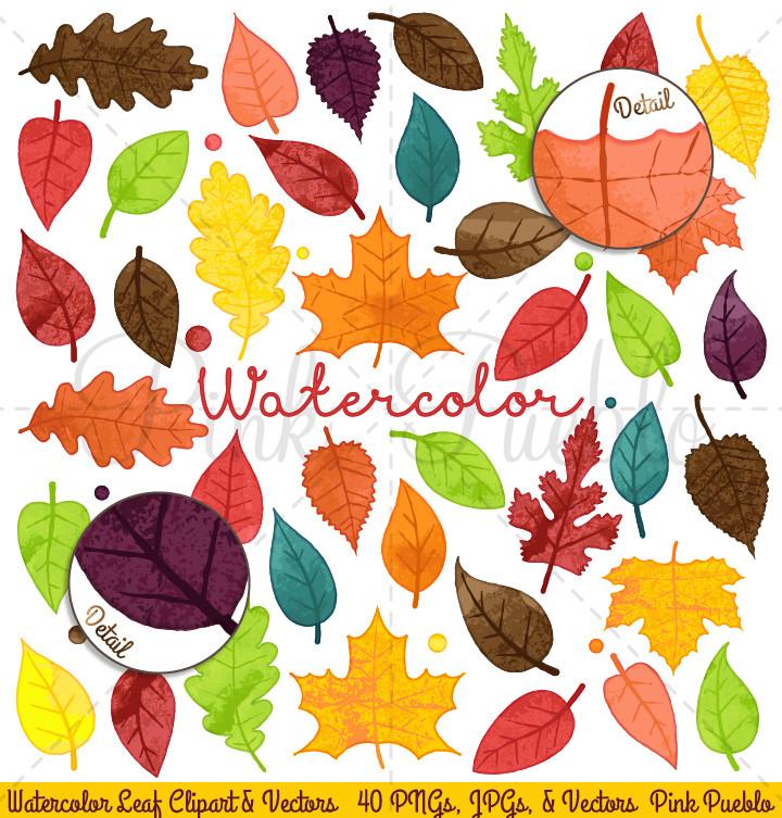 720x753 Watercolor Leaves Clipart Amp Vectors Pinkpueblo