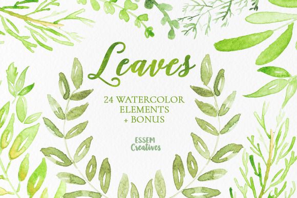 580x387 Watercolor Leaves Clipart By Essem Creatives On @creativemarket