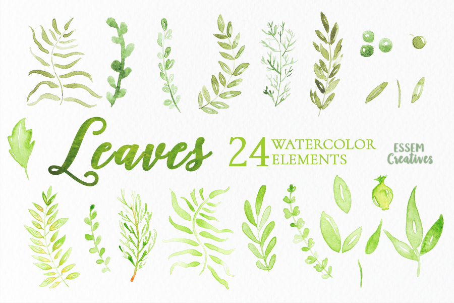 900x600 Watercolor Leaves And Branches Clipart Essem Creatives