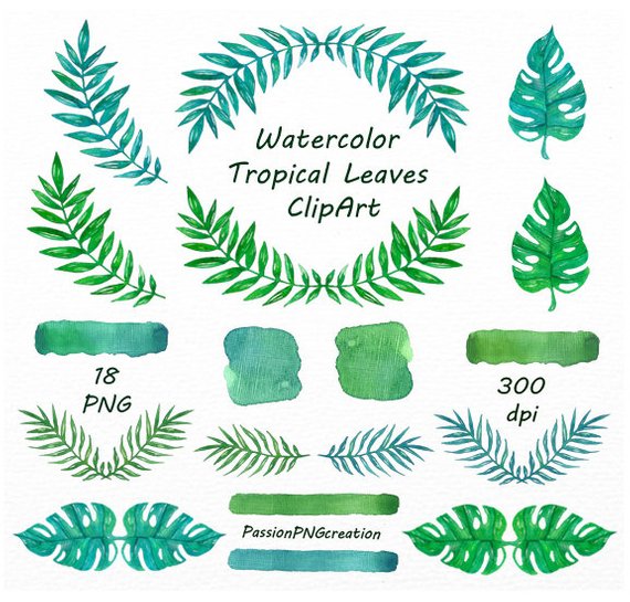 570x545 Watercolor Tropical Leaves Clipart Watercolor Leaves Etsy